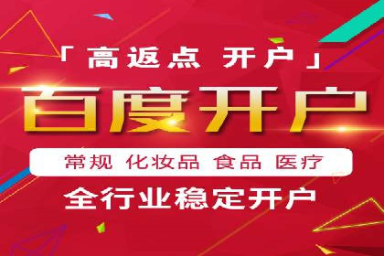 行业领先SEM托管代运营案例